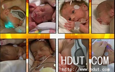 Www.Hdut.Com