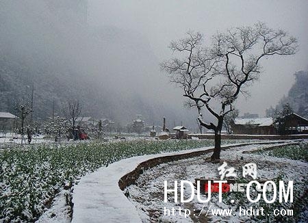 Www.Hdut.Com