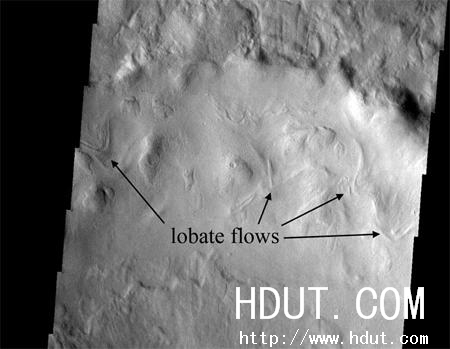 Www.Hdut.Com